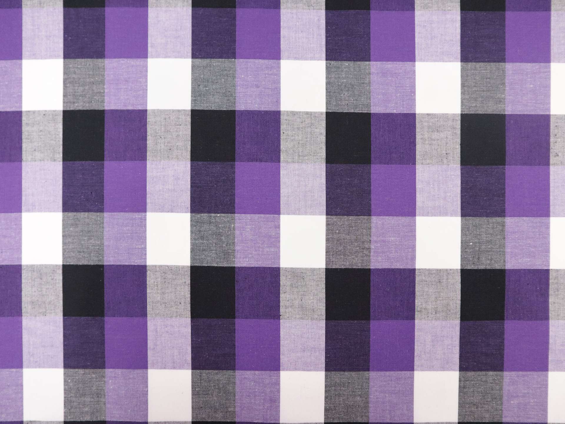 1.5" Cotton Gingham in Purple & Black
