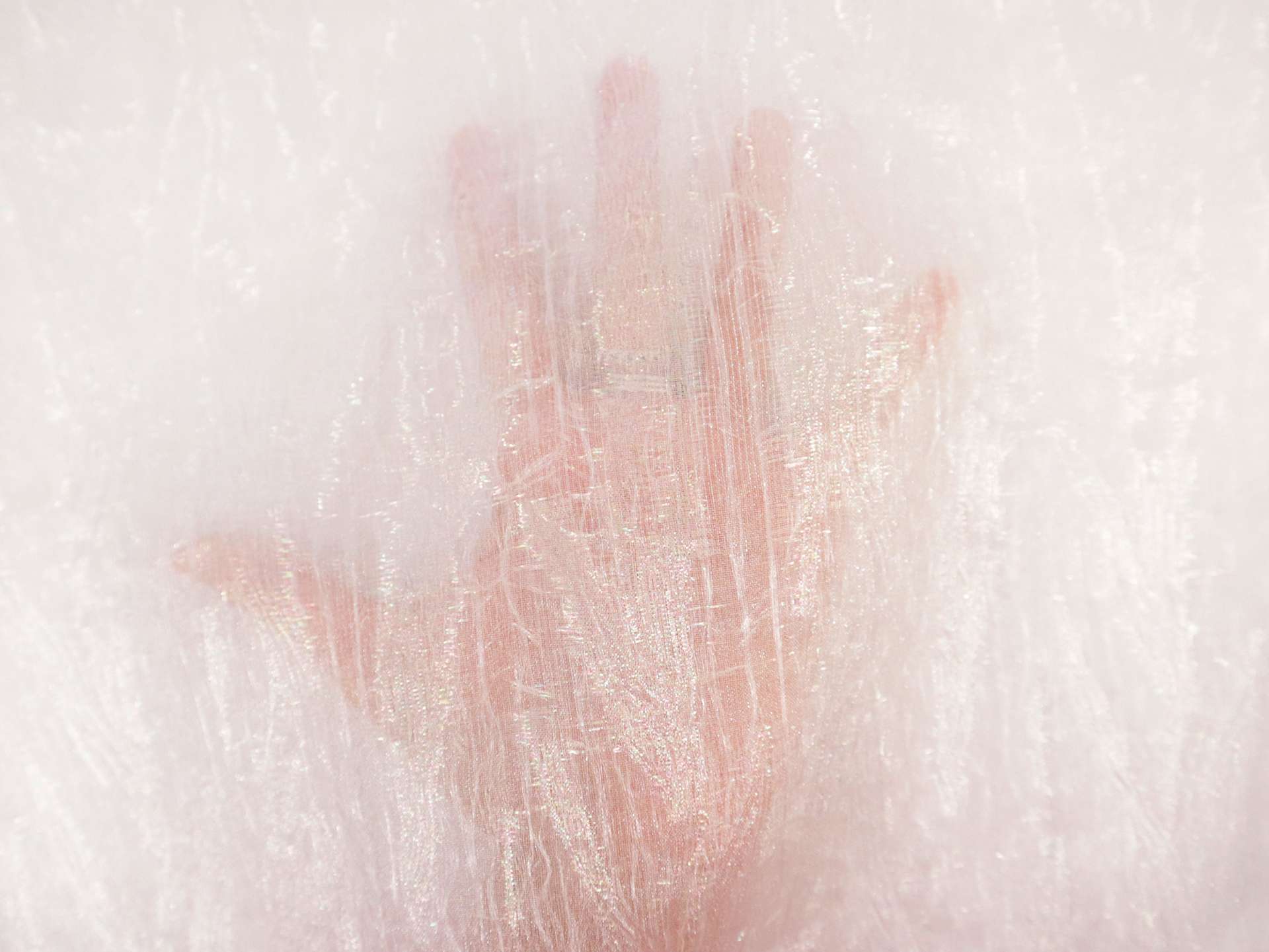 Novelty Metallic Sheer Organza in Pearl