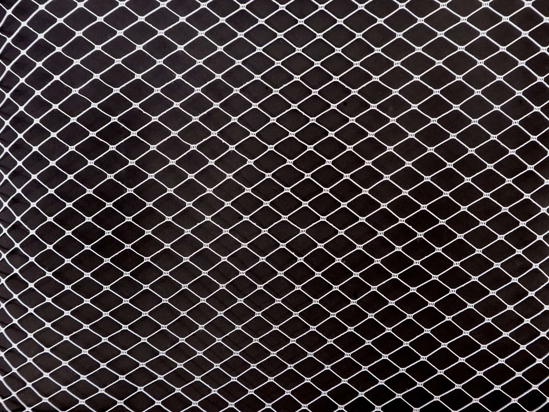Bird Cage Netting in White