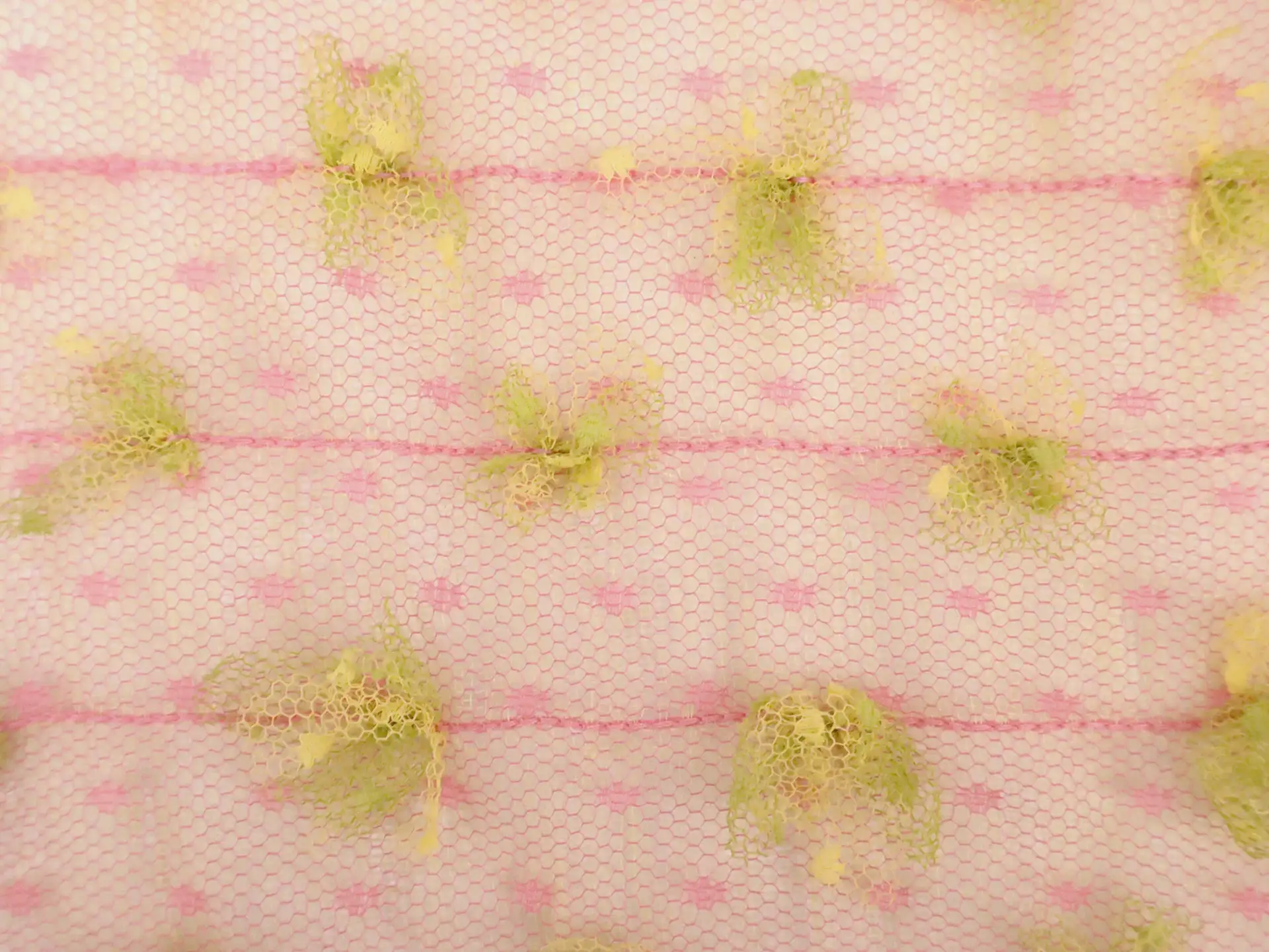 Vintage Novelty Embroidered Point D'Esprit