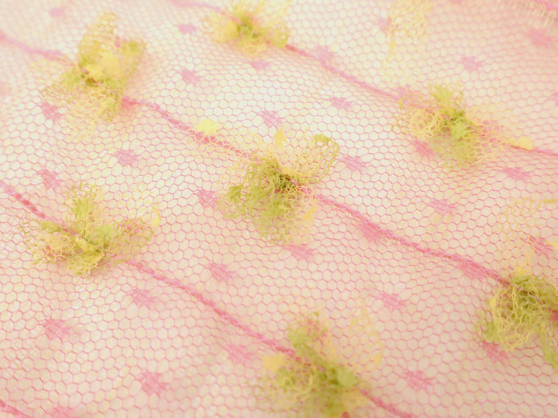 Vintage Novelty Embroidered Point D'Esprit