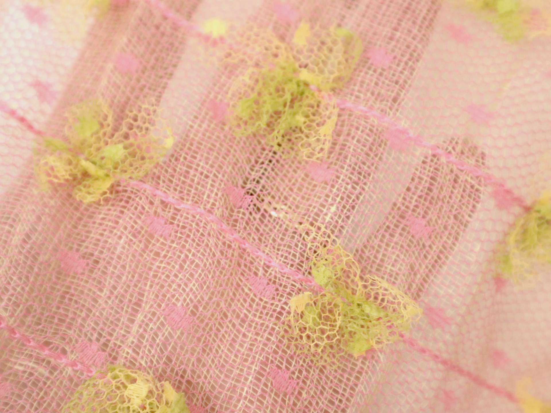 Vintage Novelty Embroidered Point D'Esprit