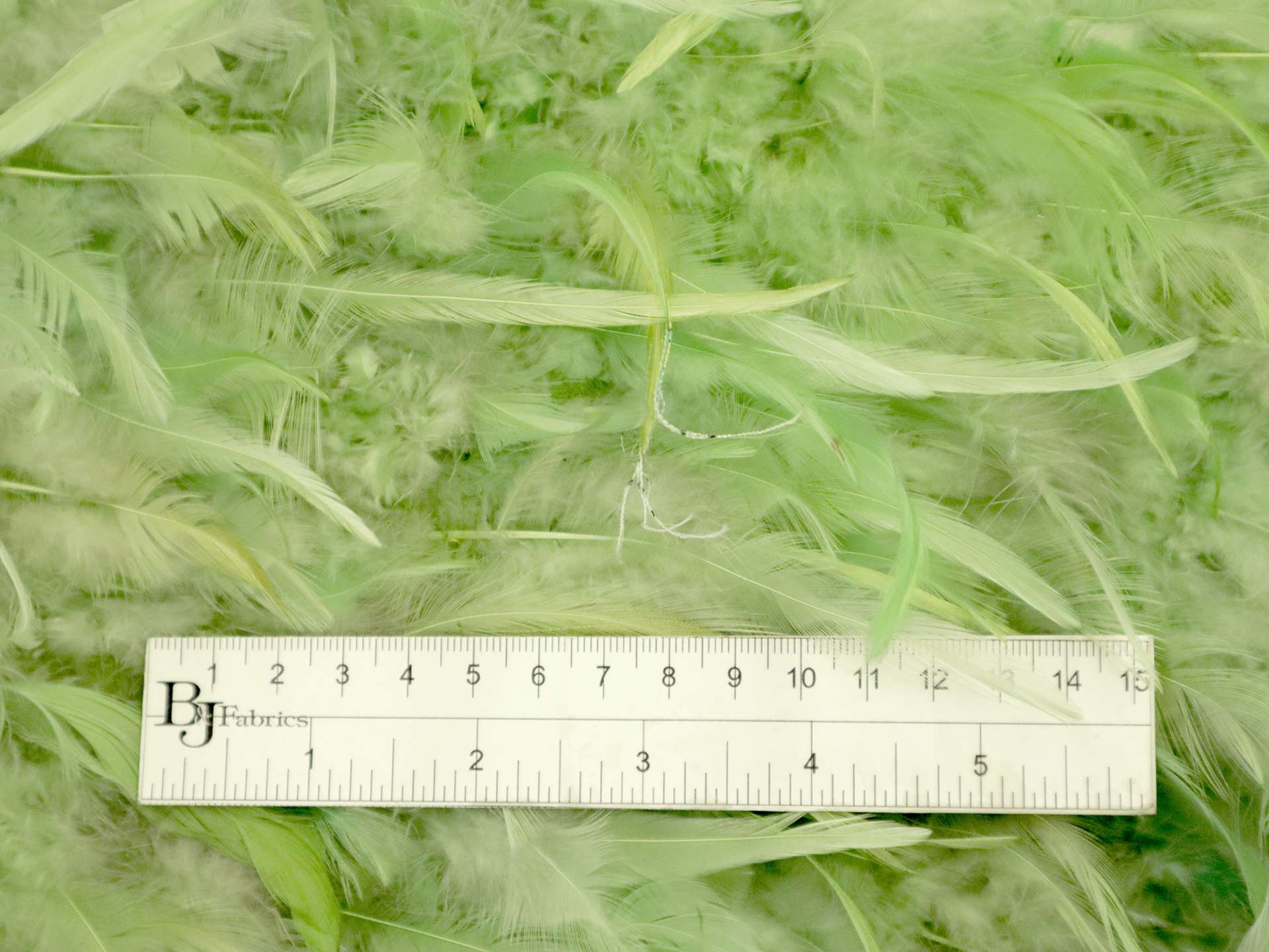 Feathers on Silk Chiffon in Green