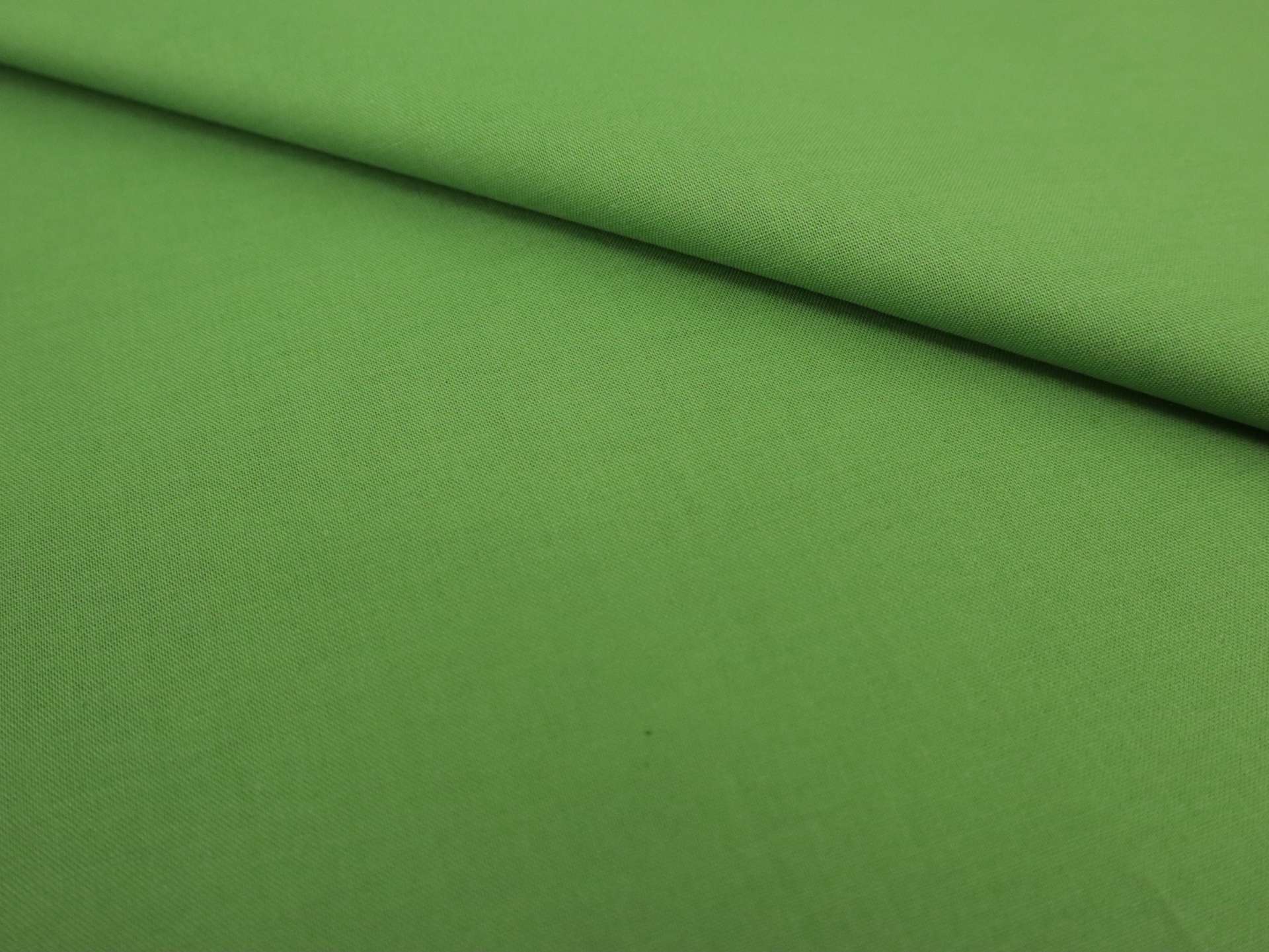 Kona Cotton in Grass Green