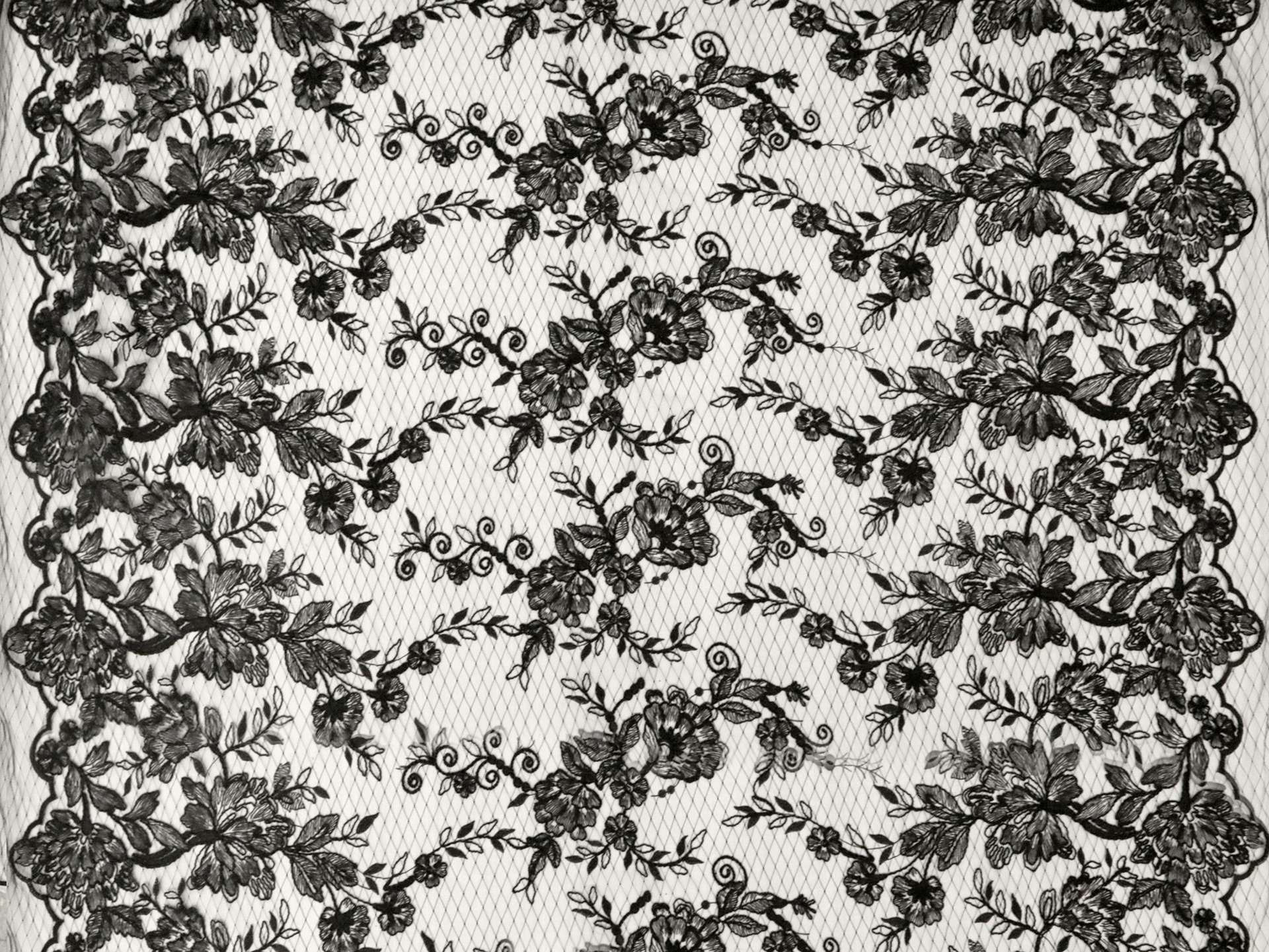 Embroidered Novelty Tulle with Floral Pattern in Black