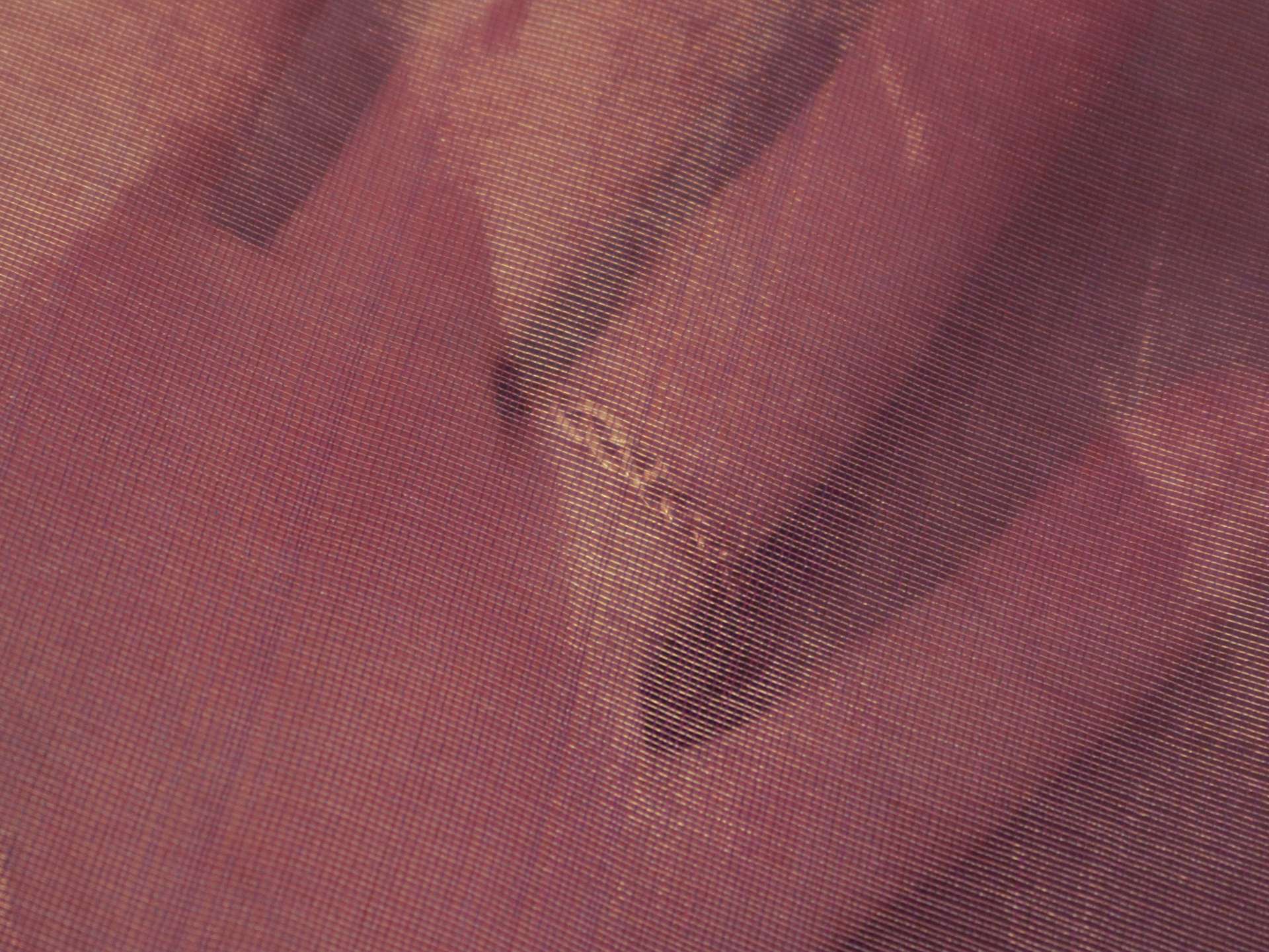 Metallic Silk Organza in Fuchsia and Gold