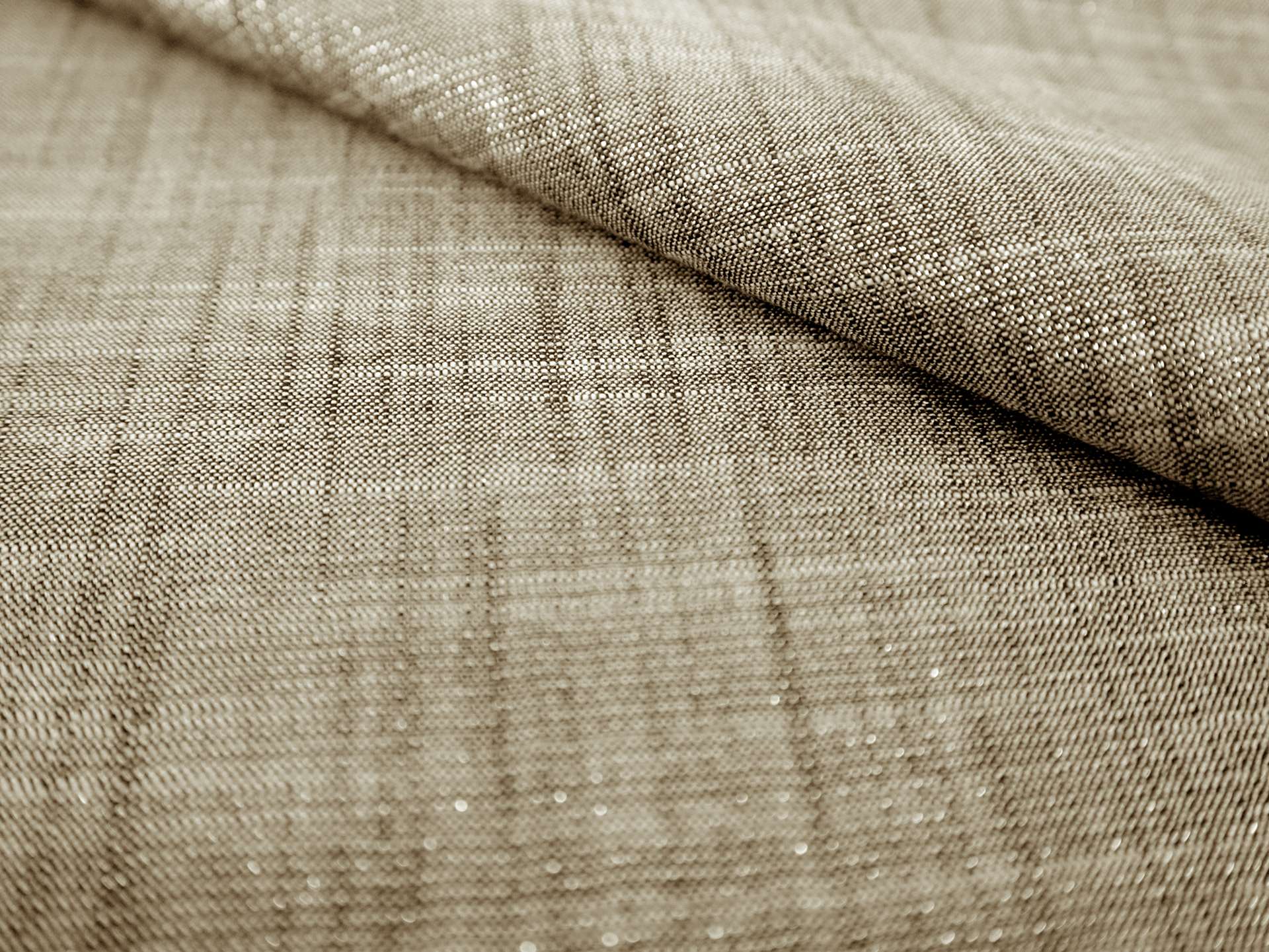 Metallic Textured Cotton in Ebony & Gold