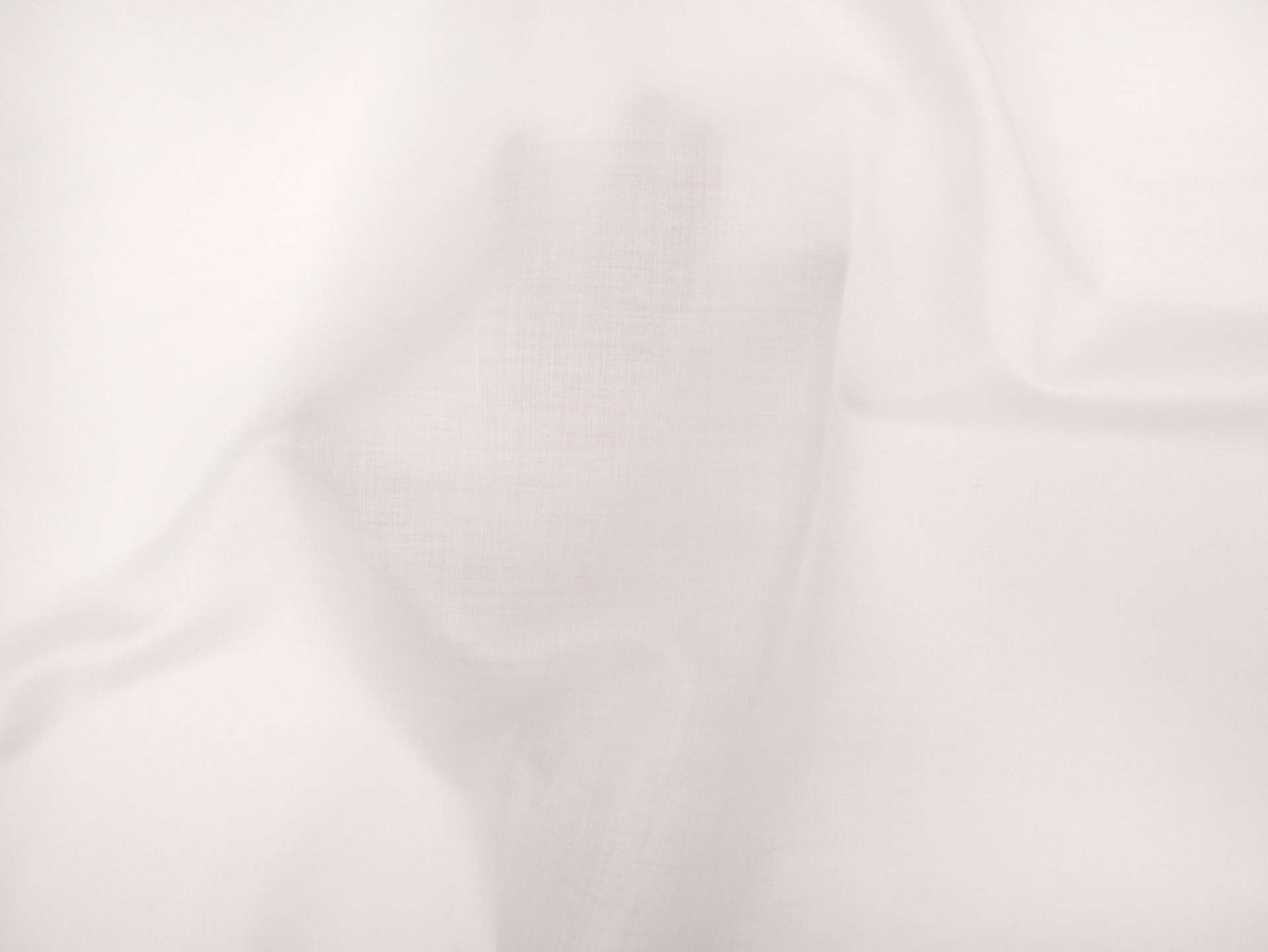 Swiss Pima Cotton Satin Batiste in White 