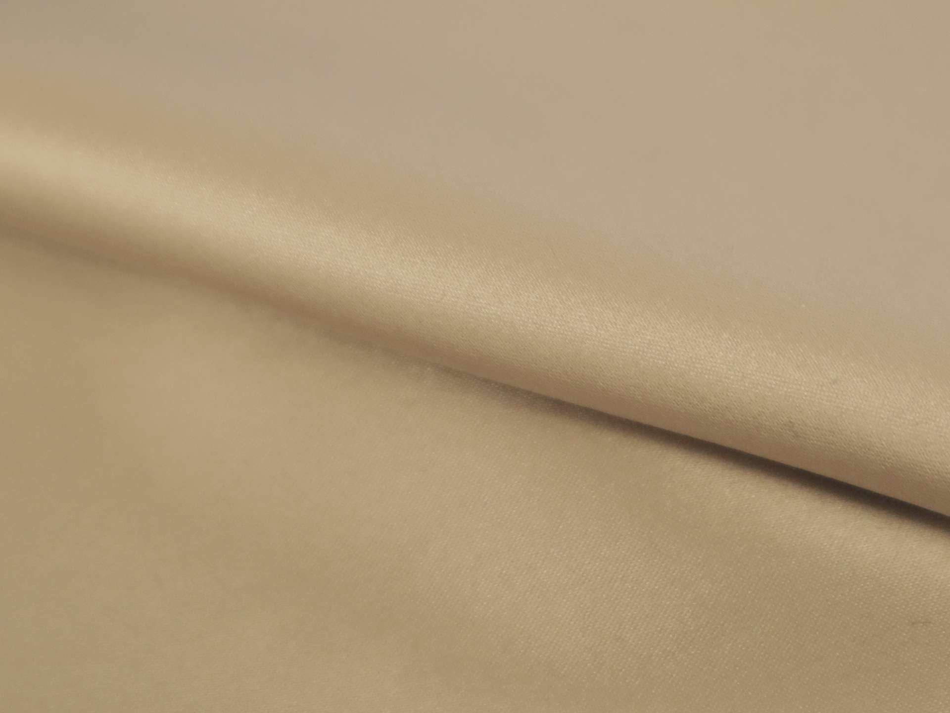 Lacquered Silk and Lycra Charmeuse in Champagne