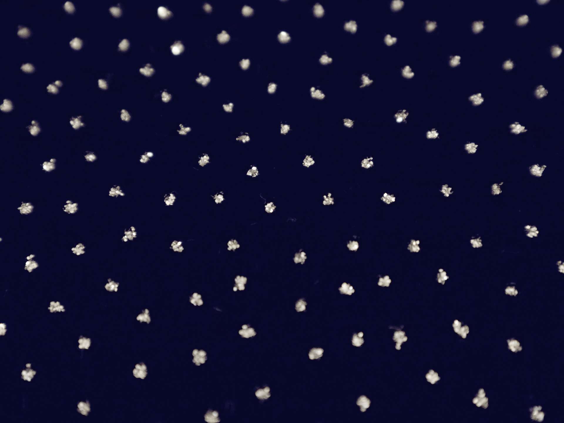 Novelty Glitter Dot Velvet in Navy