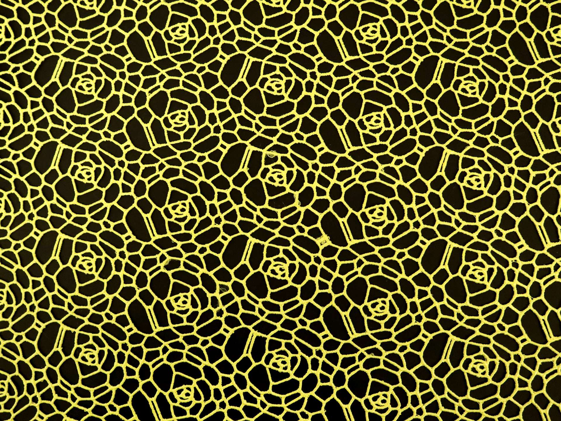 Floral Guipure Lace in Yellow