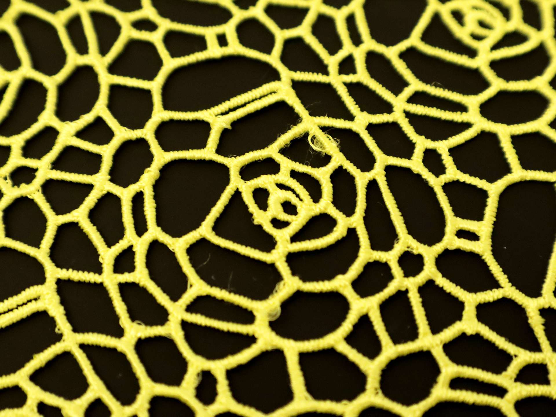Floral Guipure Lace in Yellow