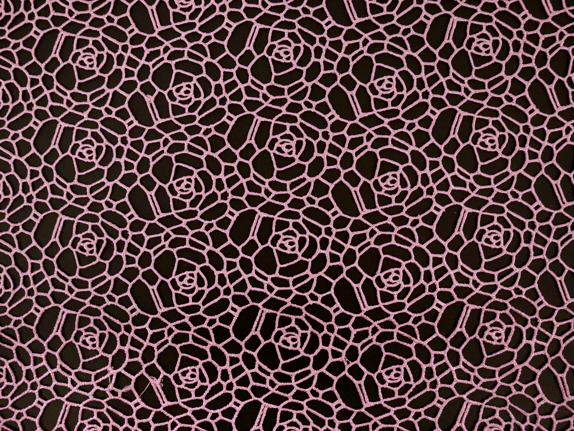 Floral Guipure Lace in Old Rose