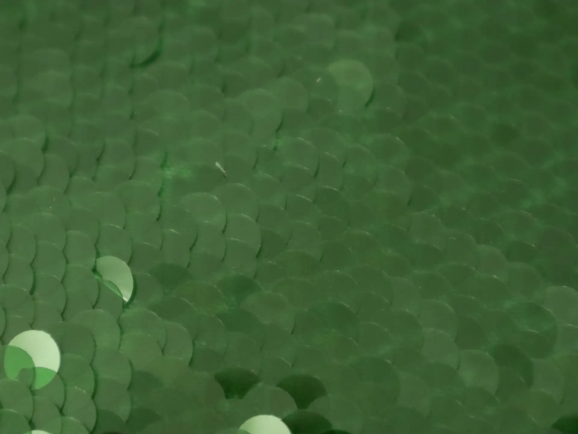 Transparent Mini-Paillettes on Stretch Tulle in Green