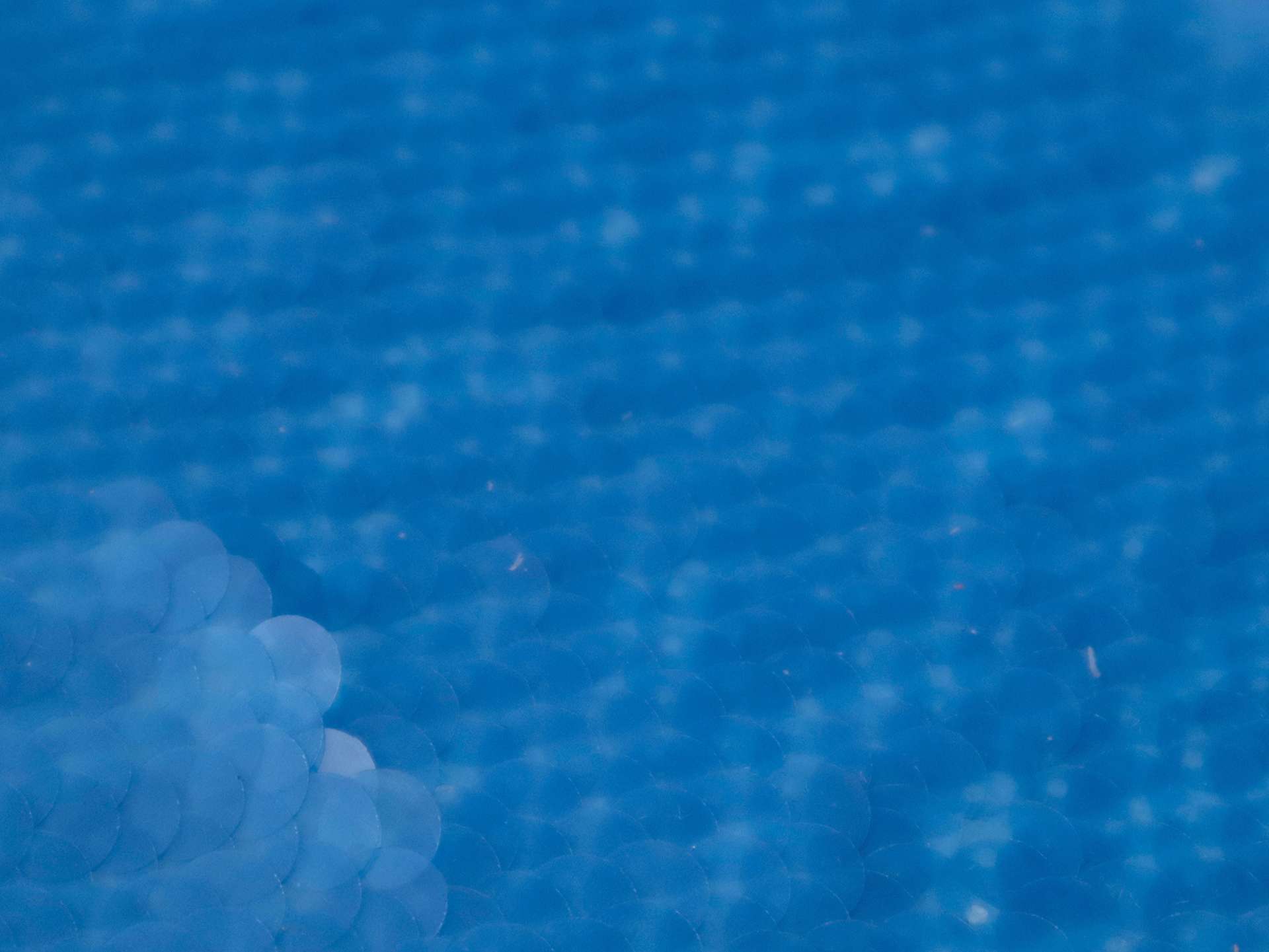 Transparent Mini-Paillettes on Stretch Tulle in Blue