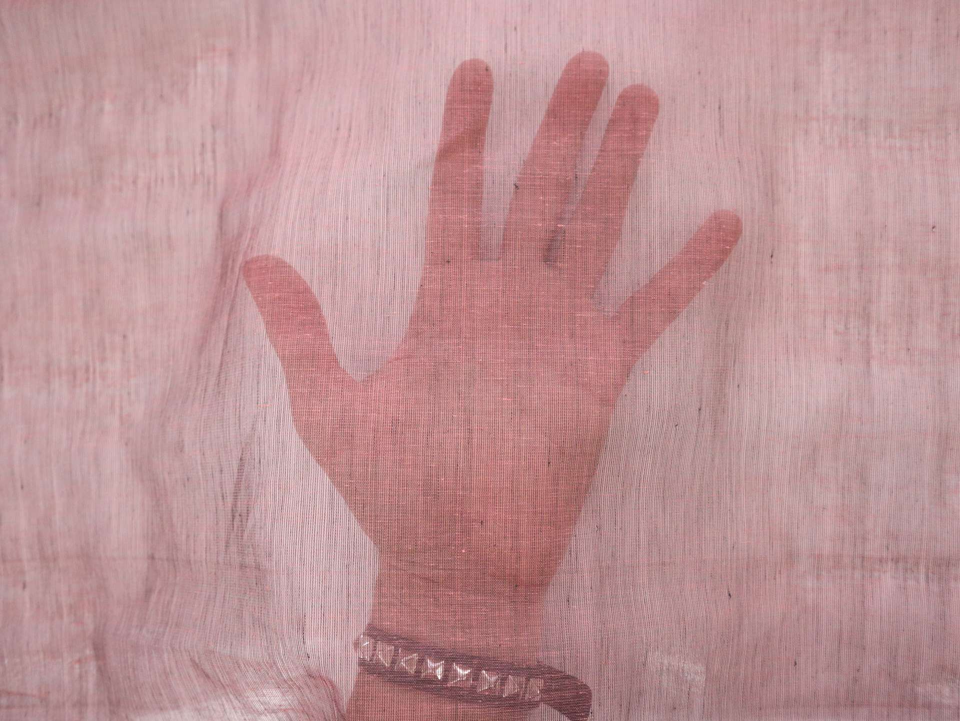 Indian Cotton Voile in Raspberry