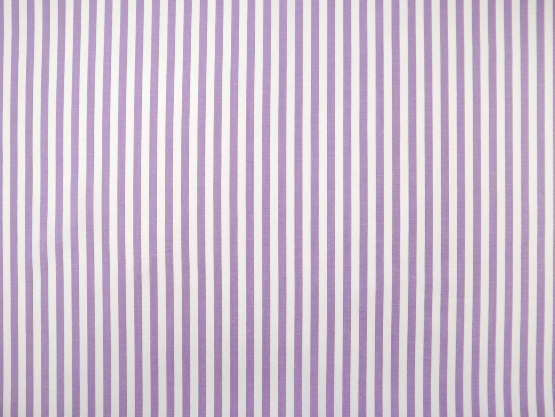 Pima Cotton Shirting Stripe in Violet