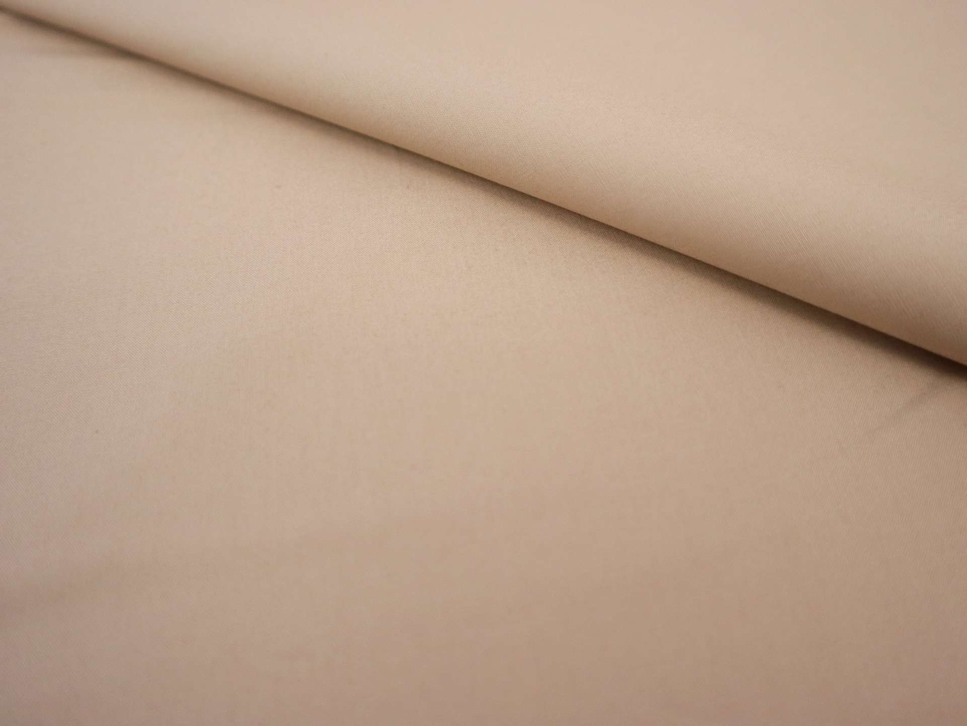 Cotton Poplin in Eggshell
