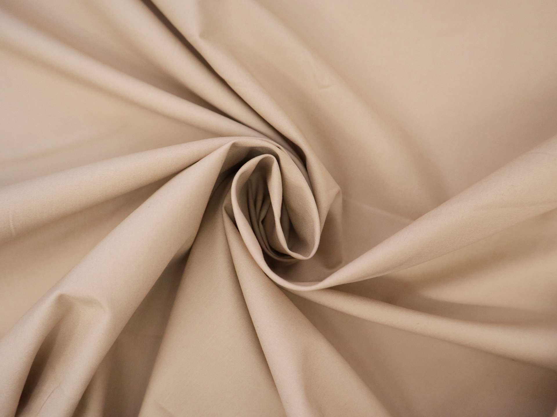 Cotton Poplin in Eggshell