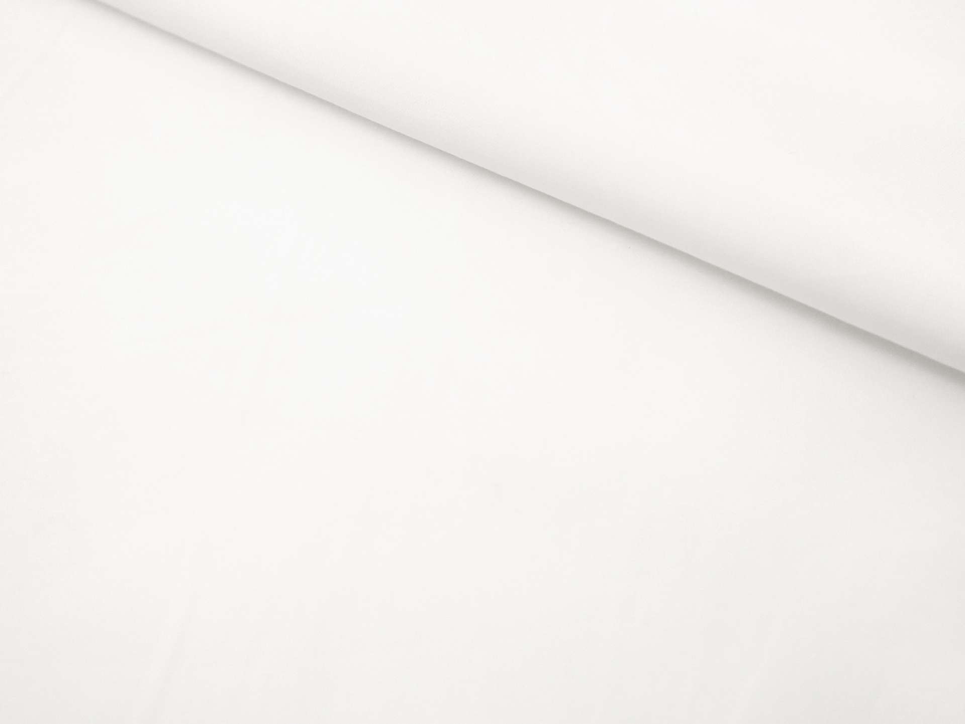 Sea Island Cotton Broadcloth in White