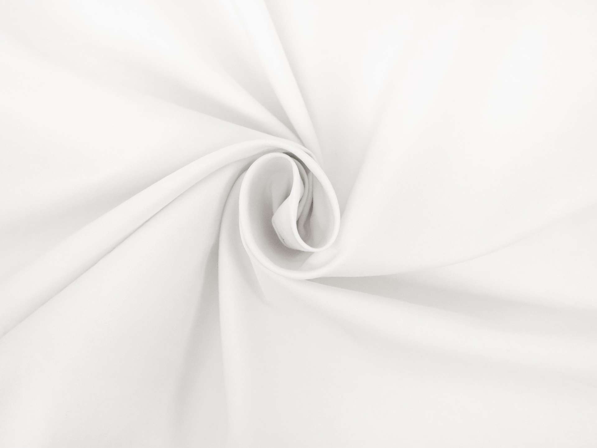 Sea Island Cotton Broadcloth in White