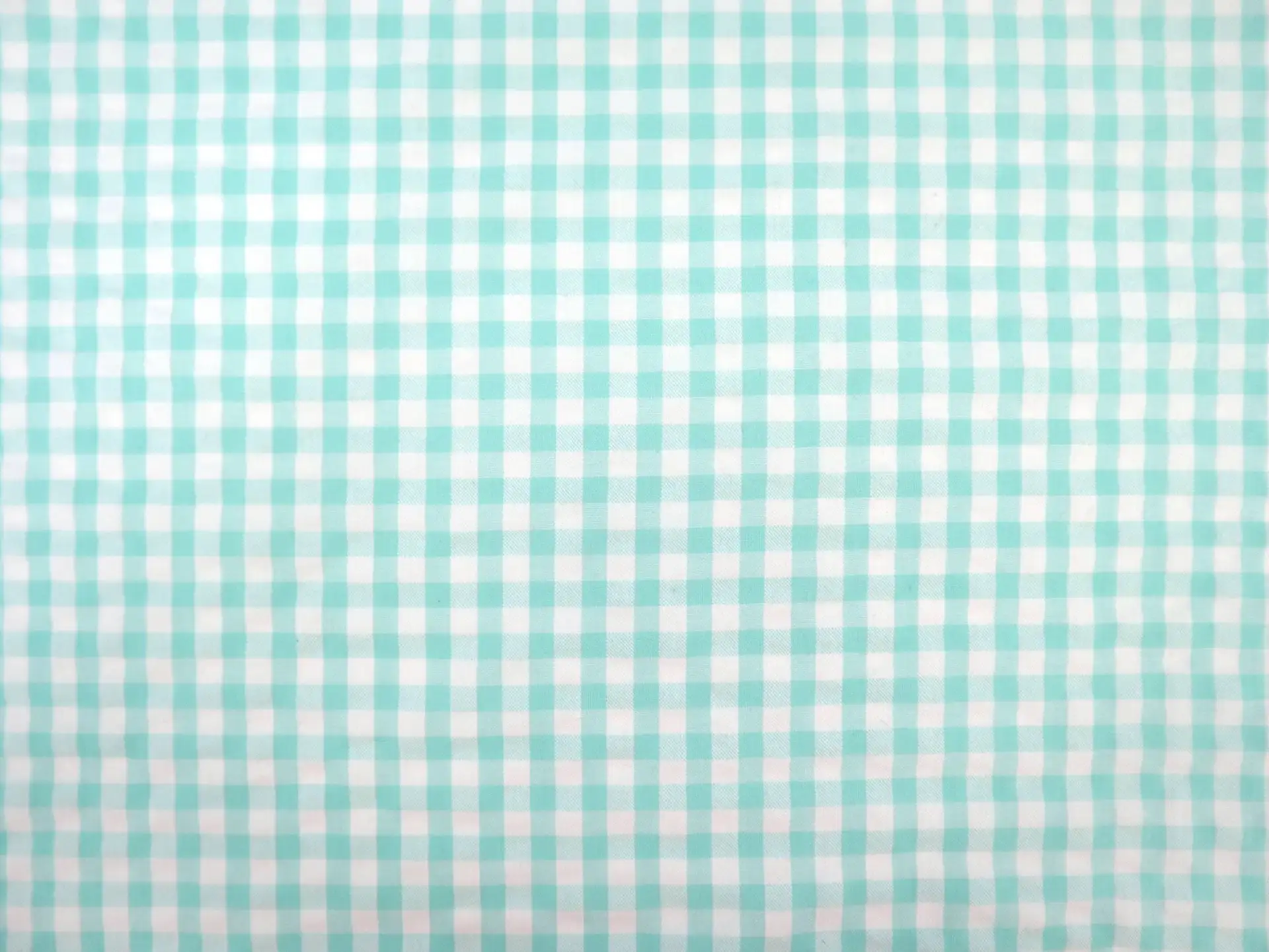 1/4" Cotton Gingham Seersucker in Mint