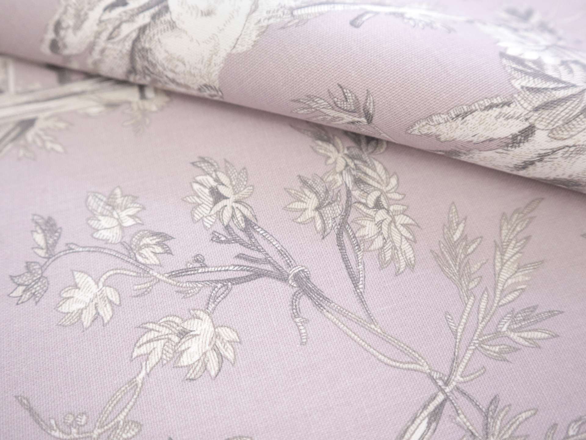 Cotton Canvas Toile de Jouy in 