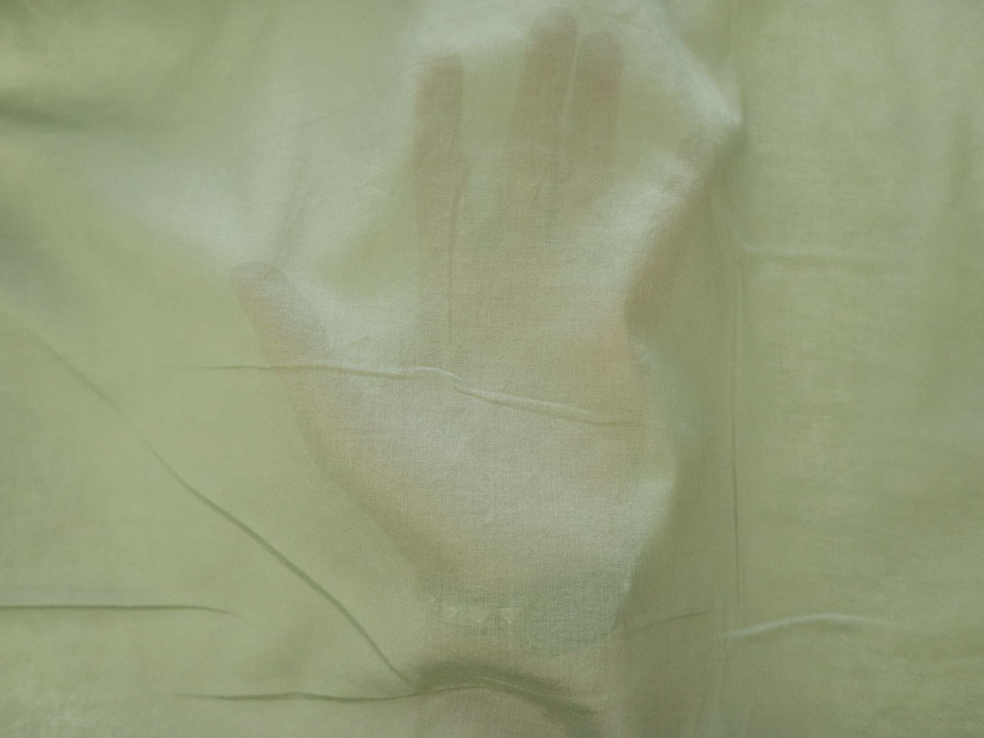 Japanese Washed Cotton Lawn in Basil Green