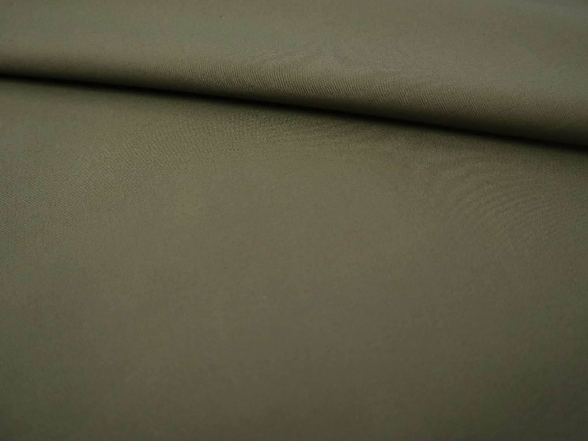 Pima Cotton Poplin in Olive