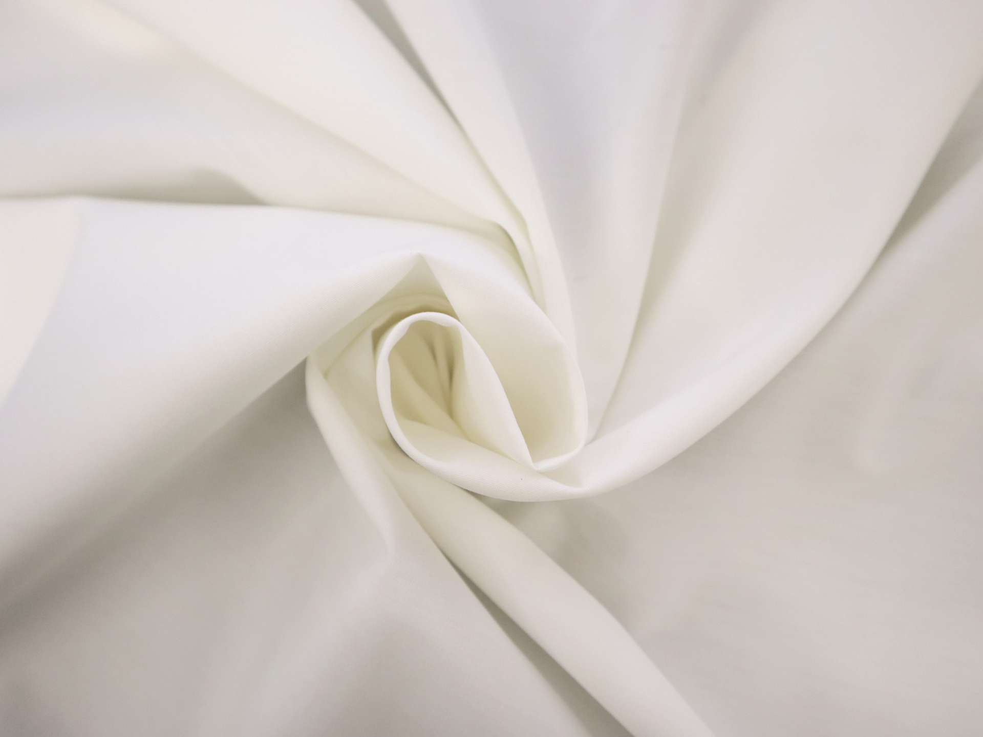 Pima Cotton Poplin in Ivory