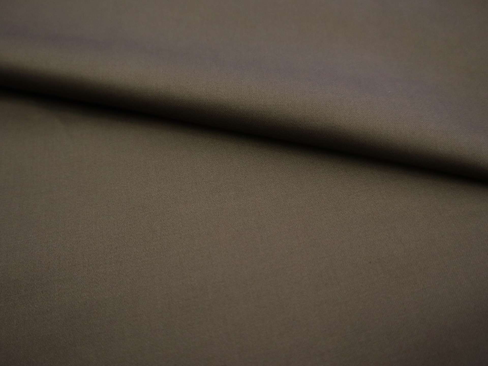 Cotton Sateen in Olive