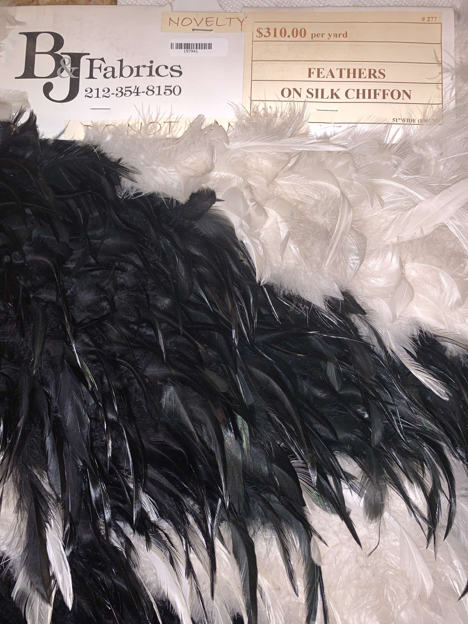  Feathers on Silk Chiffon
