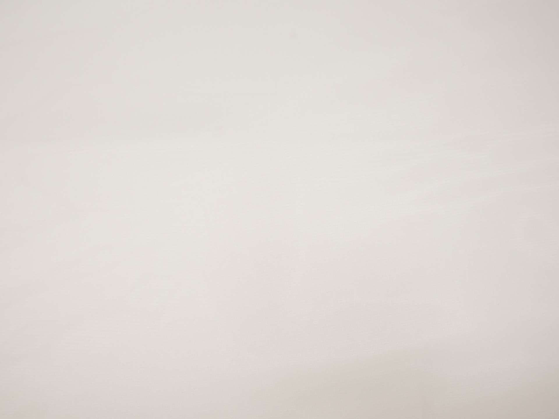 Silk organza in ivory flat