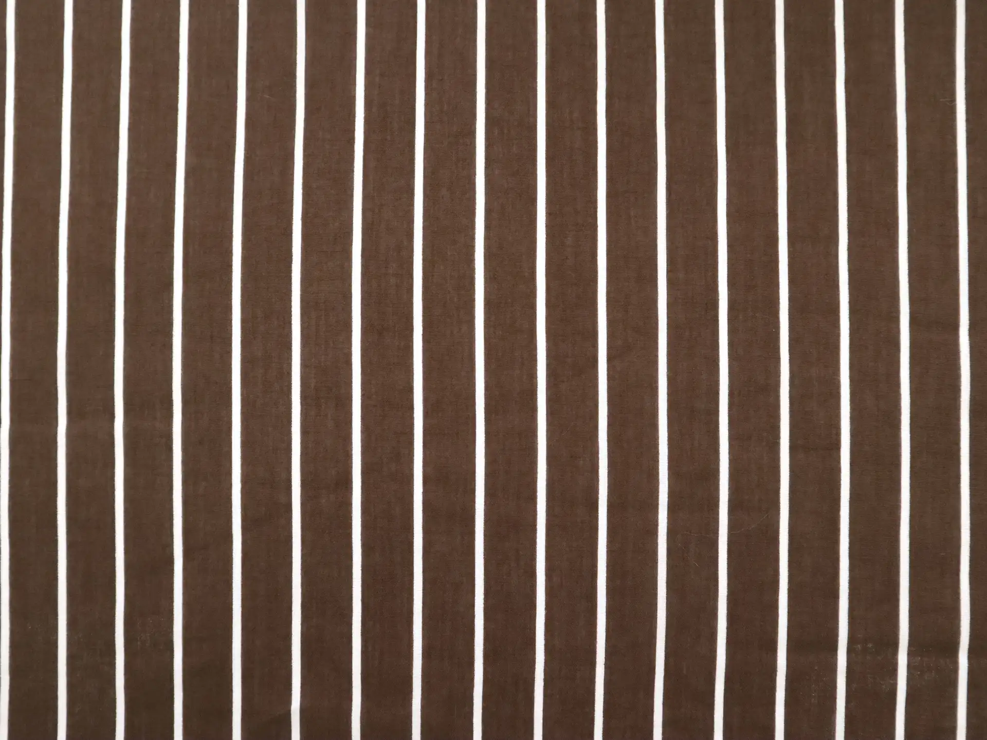 Striped Cotton Voile in Brown & White