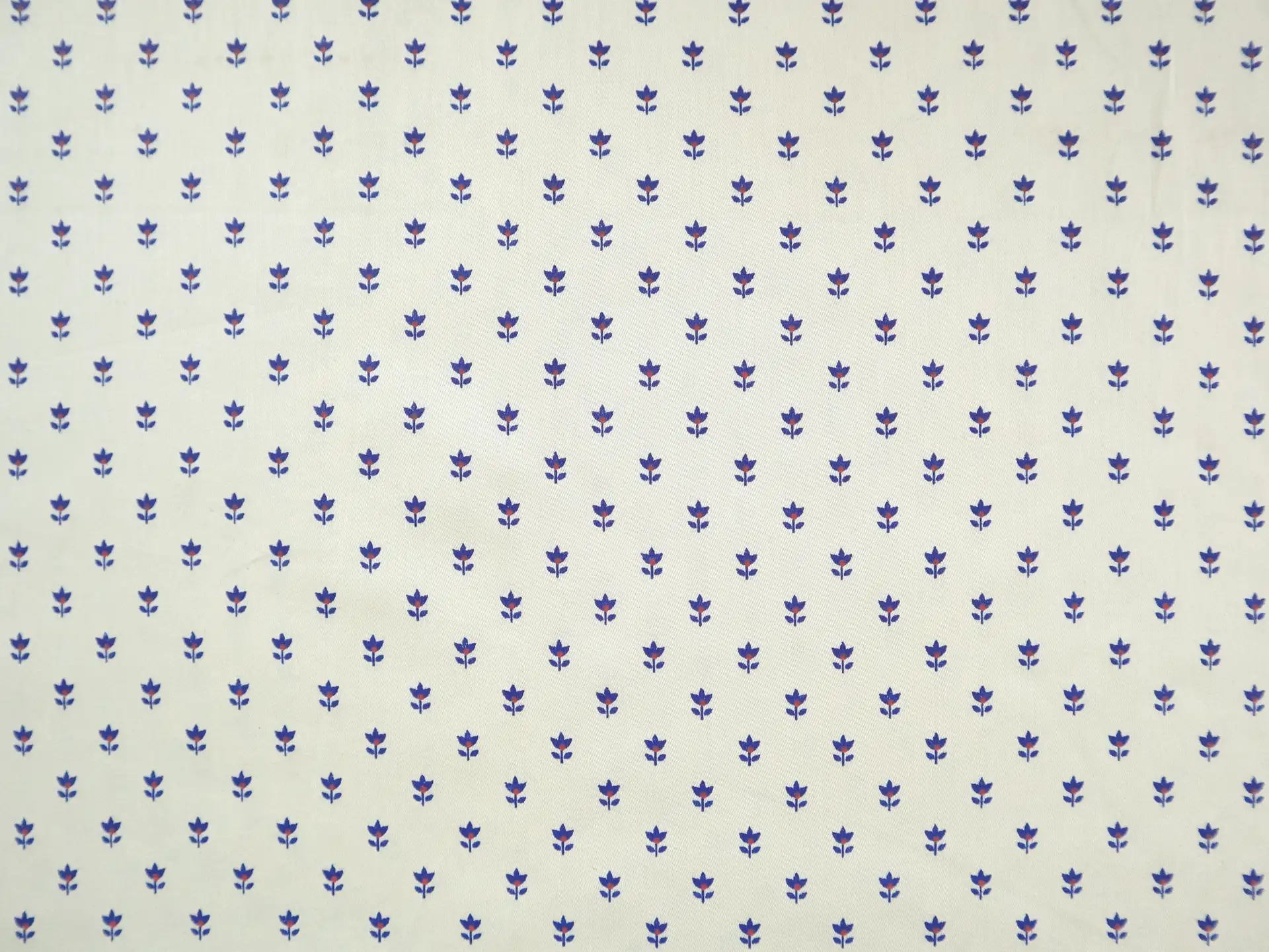 Giza Cotton Sateen with Petite Floral Print