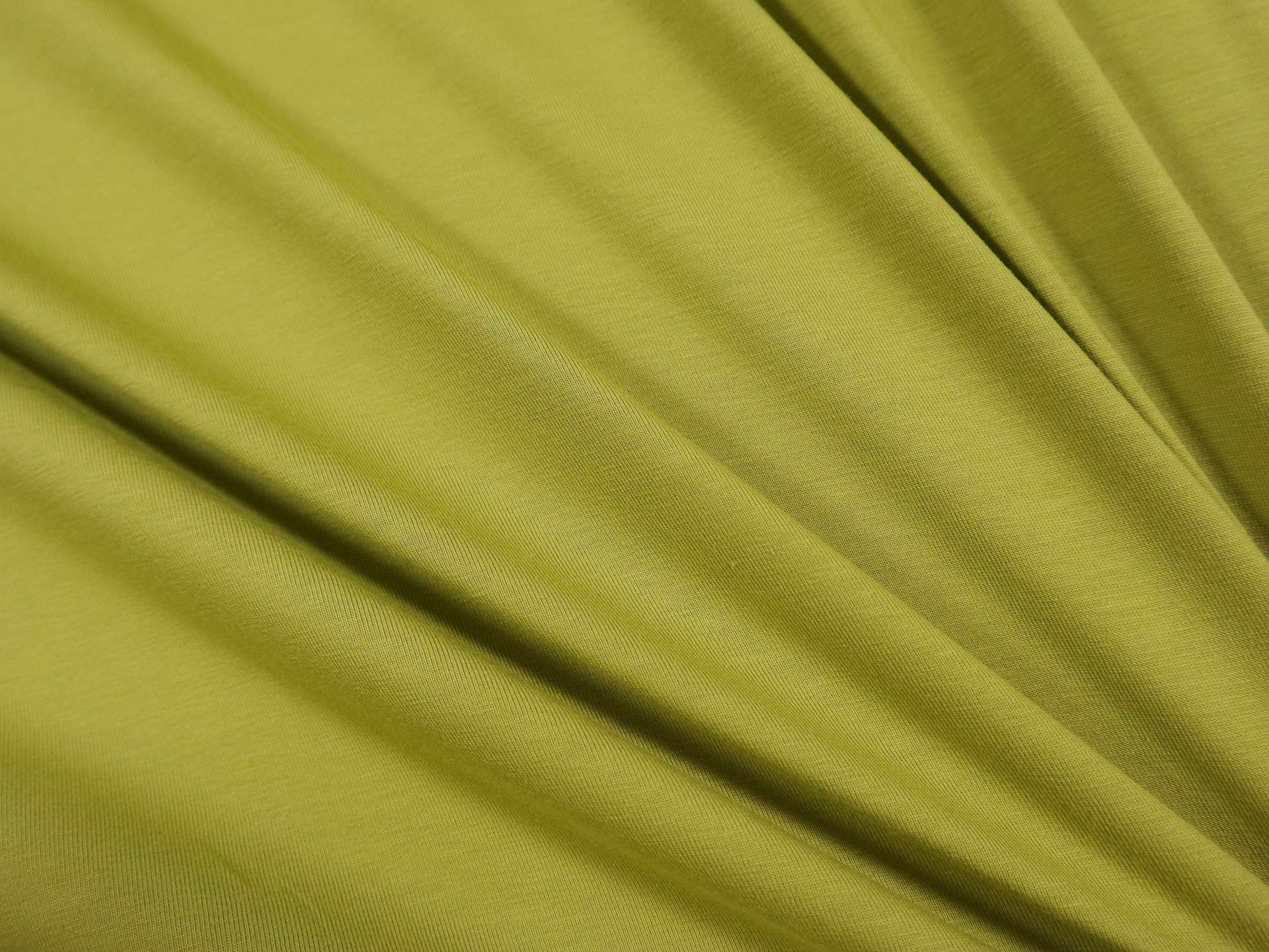 Cotton Spandex Jersey in Bonsai