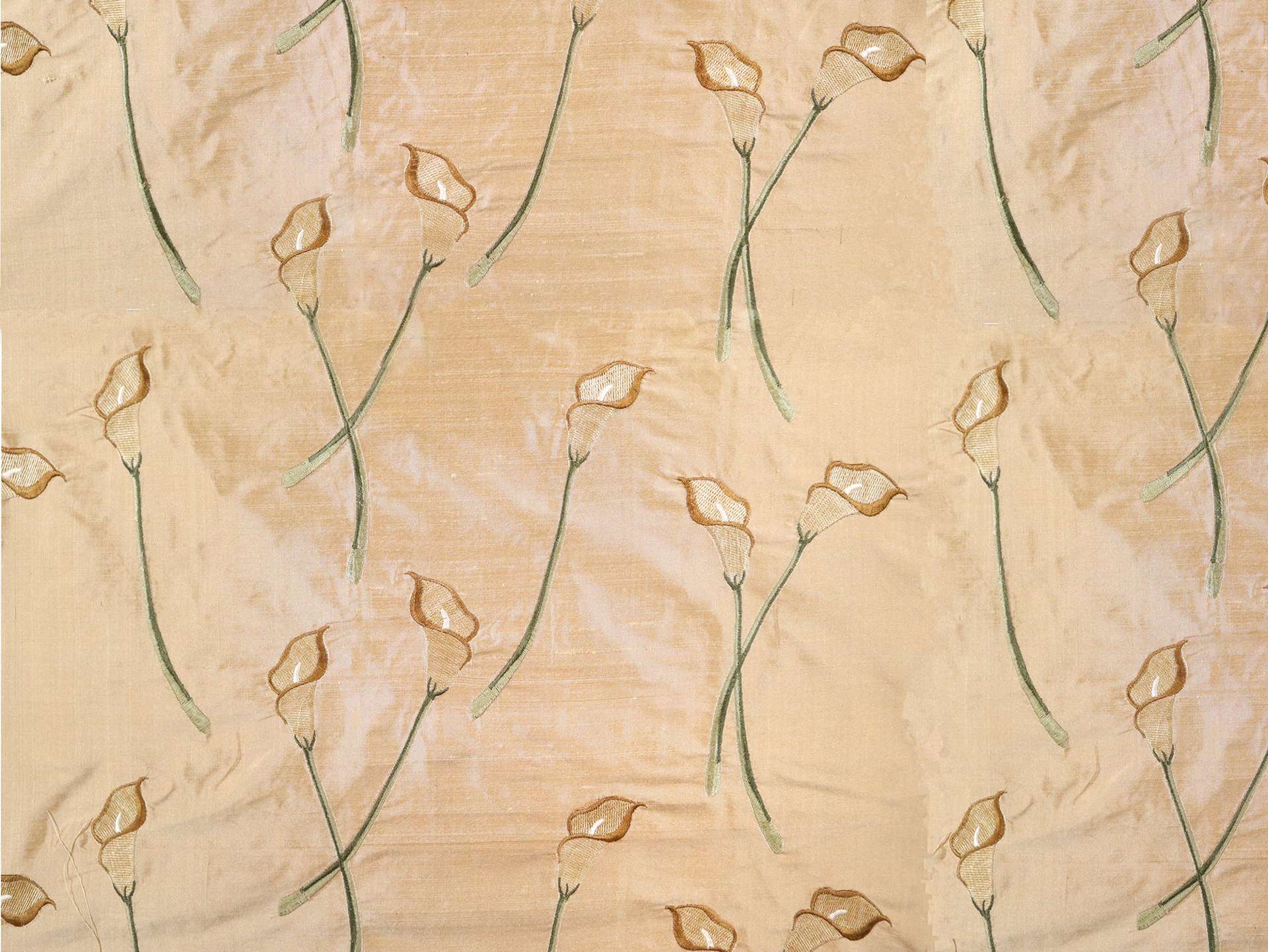 Silk Shantung with Floral Embroidery in Beige
