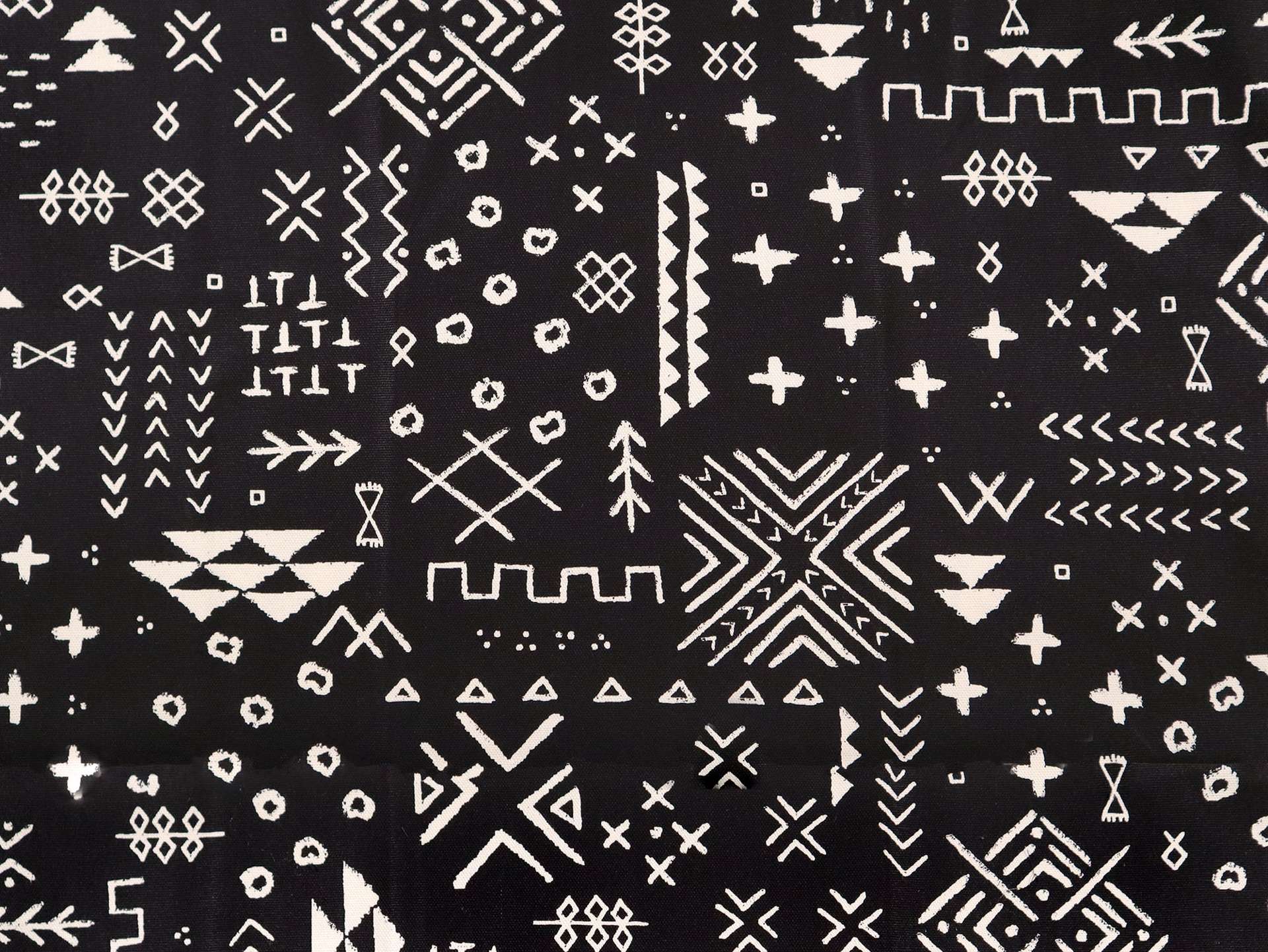 Cotton Canvas Print in Black & Ivory