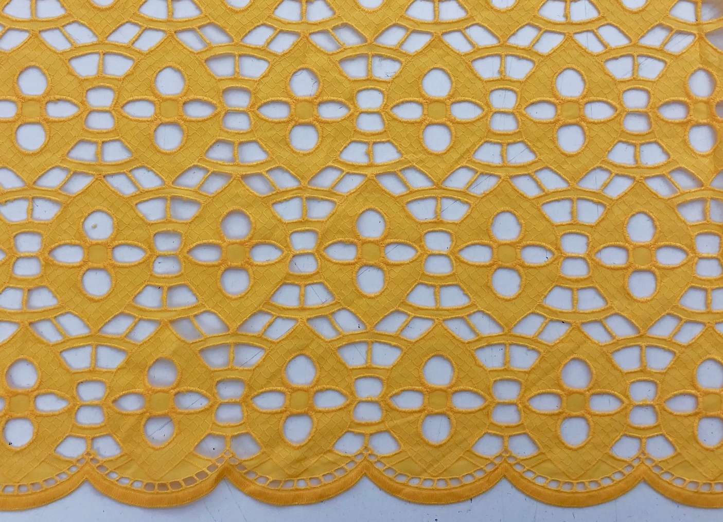 Marigold1