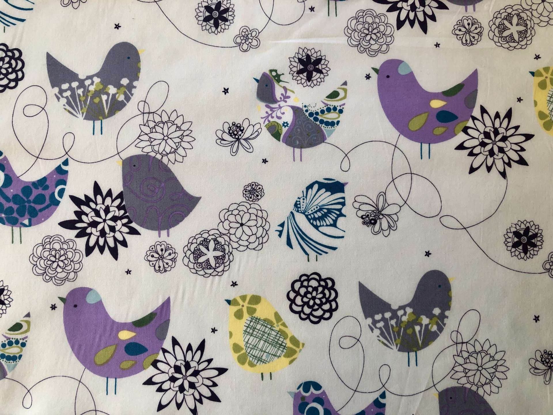 Bird1