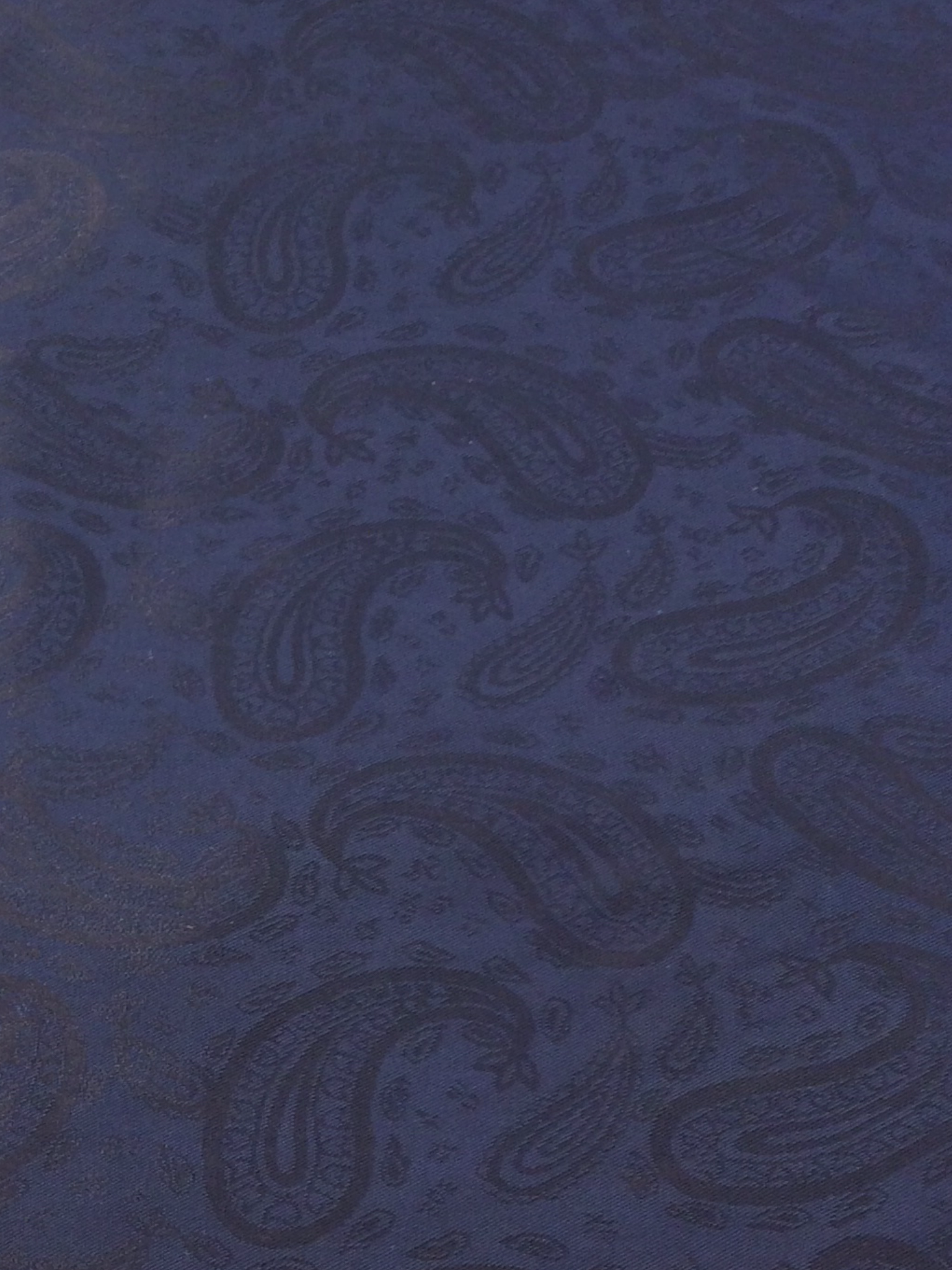 Novelty Jacquard Lining in Navy w/ Paisleys