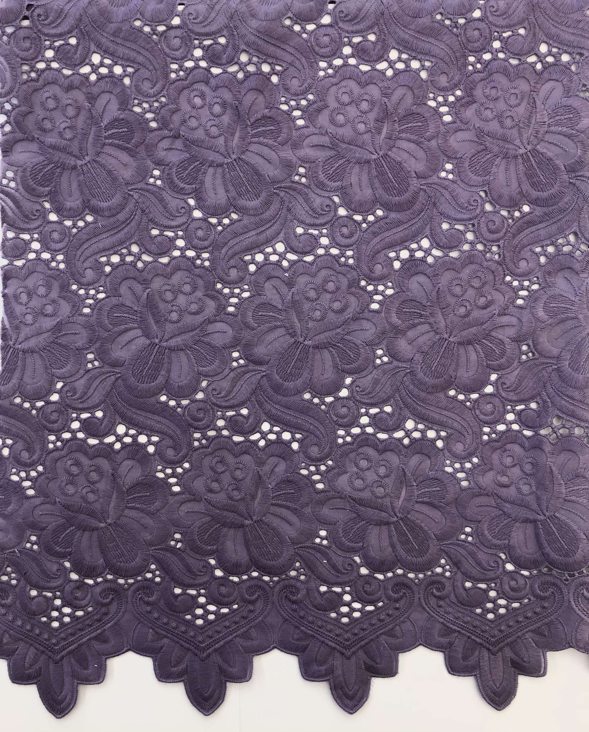 Viola1