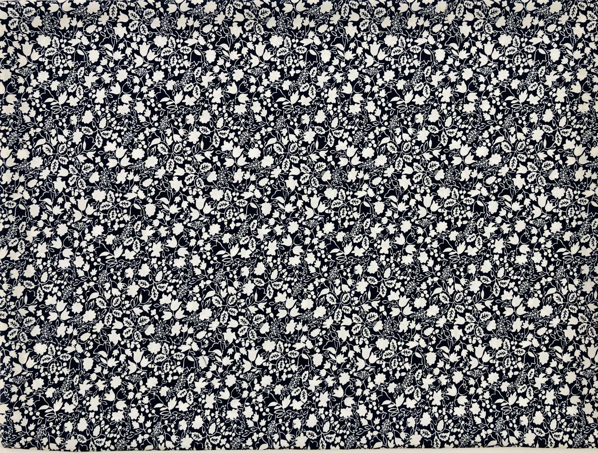 Navy1