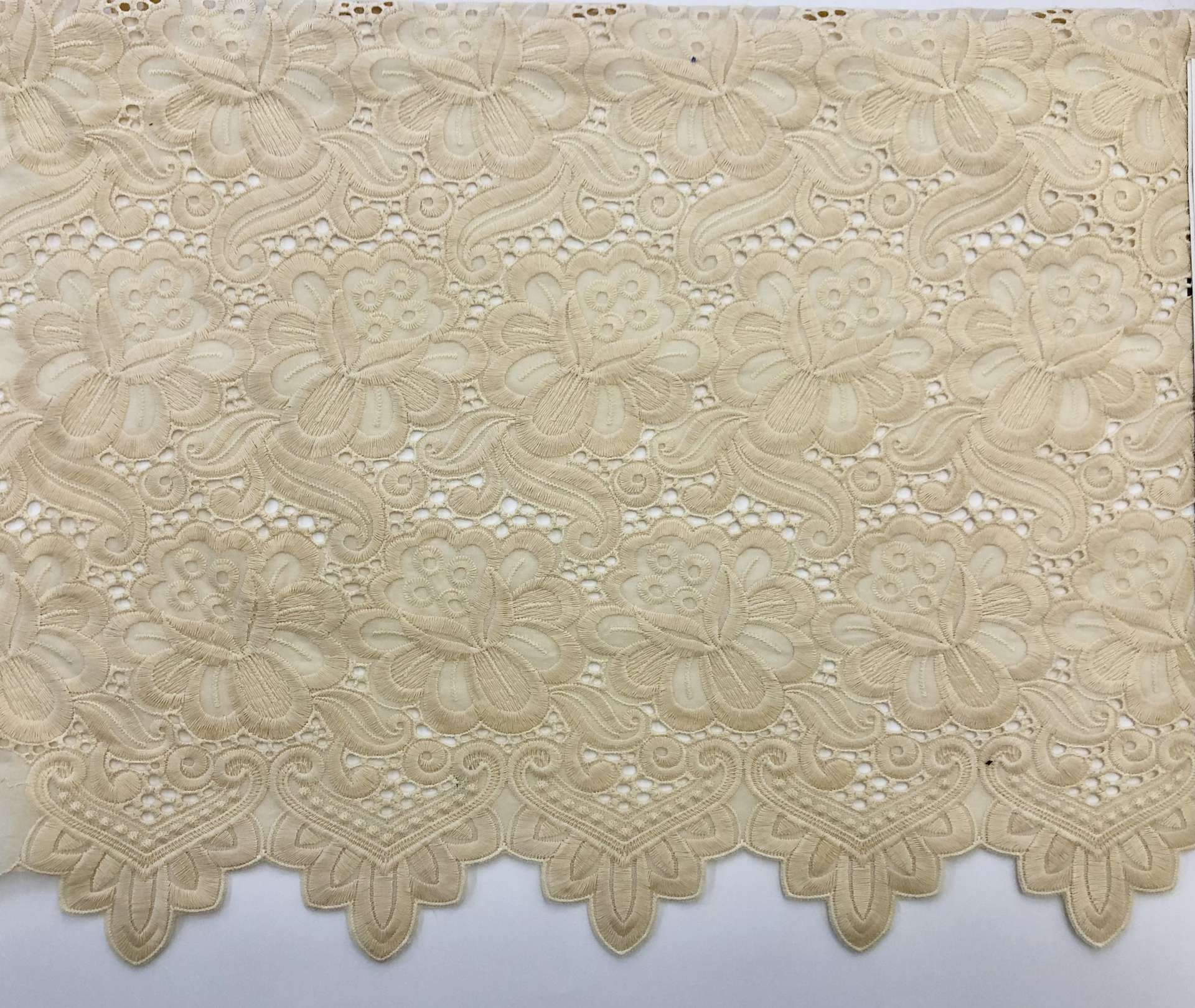 Ivory1