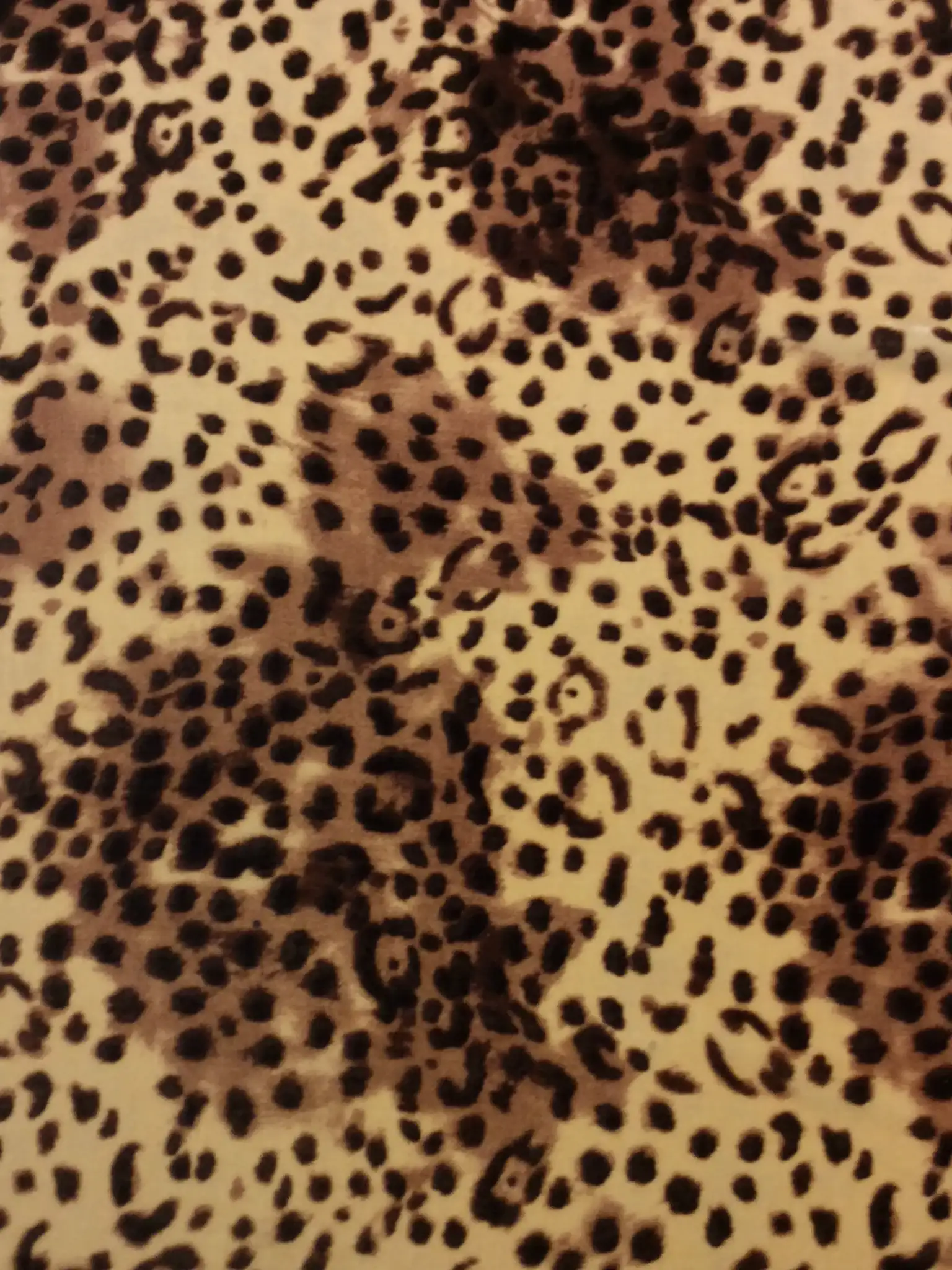 Animal Print Silk Rayon Velvet 