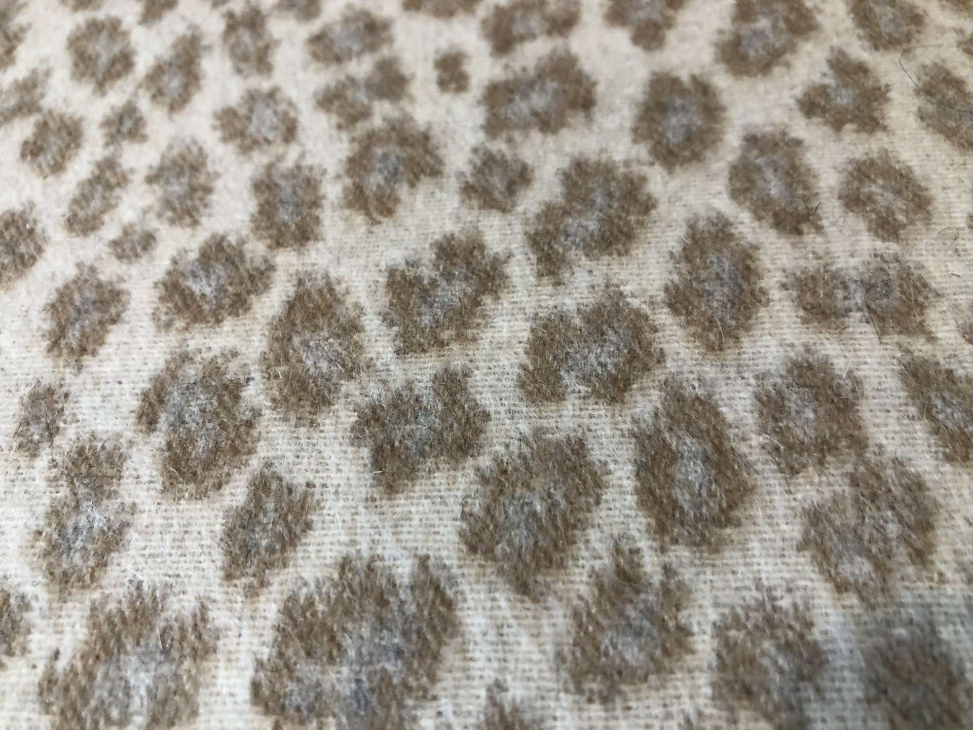 Animal2