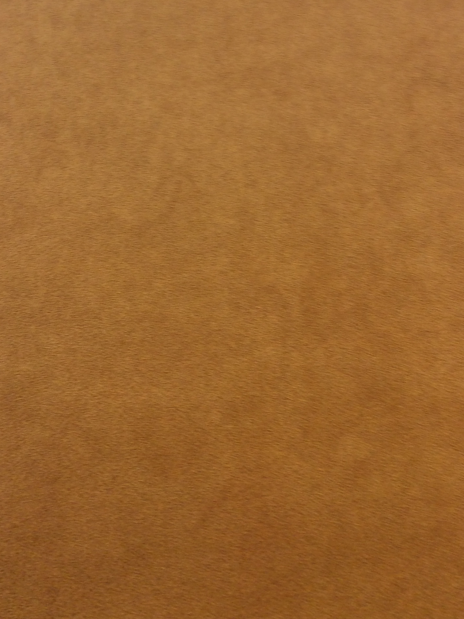 NEW Ultrasuede Soft in Aztec Leather