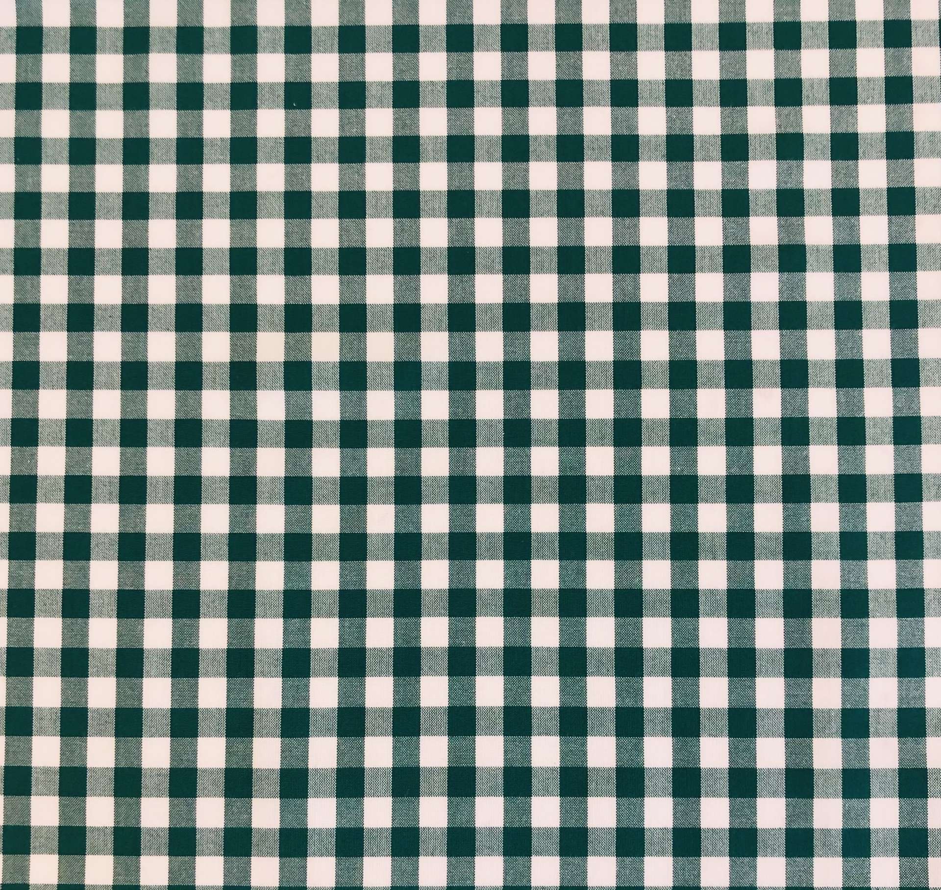 Cotton Check in Emerald