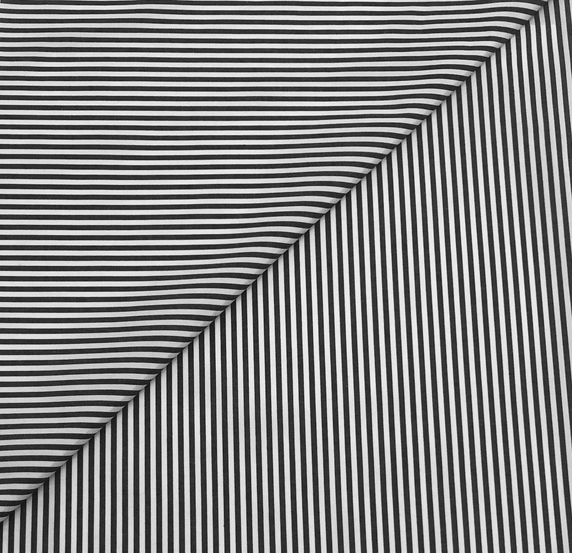 Pima Cotton Shirting Stripe in Black