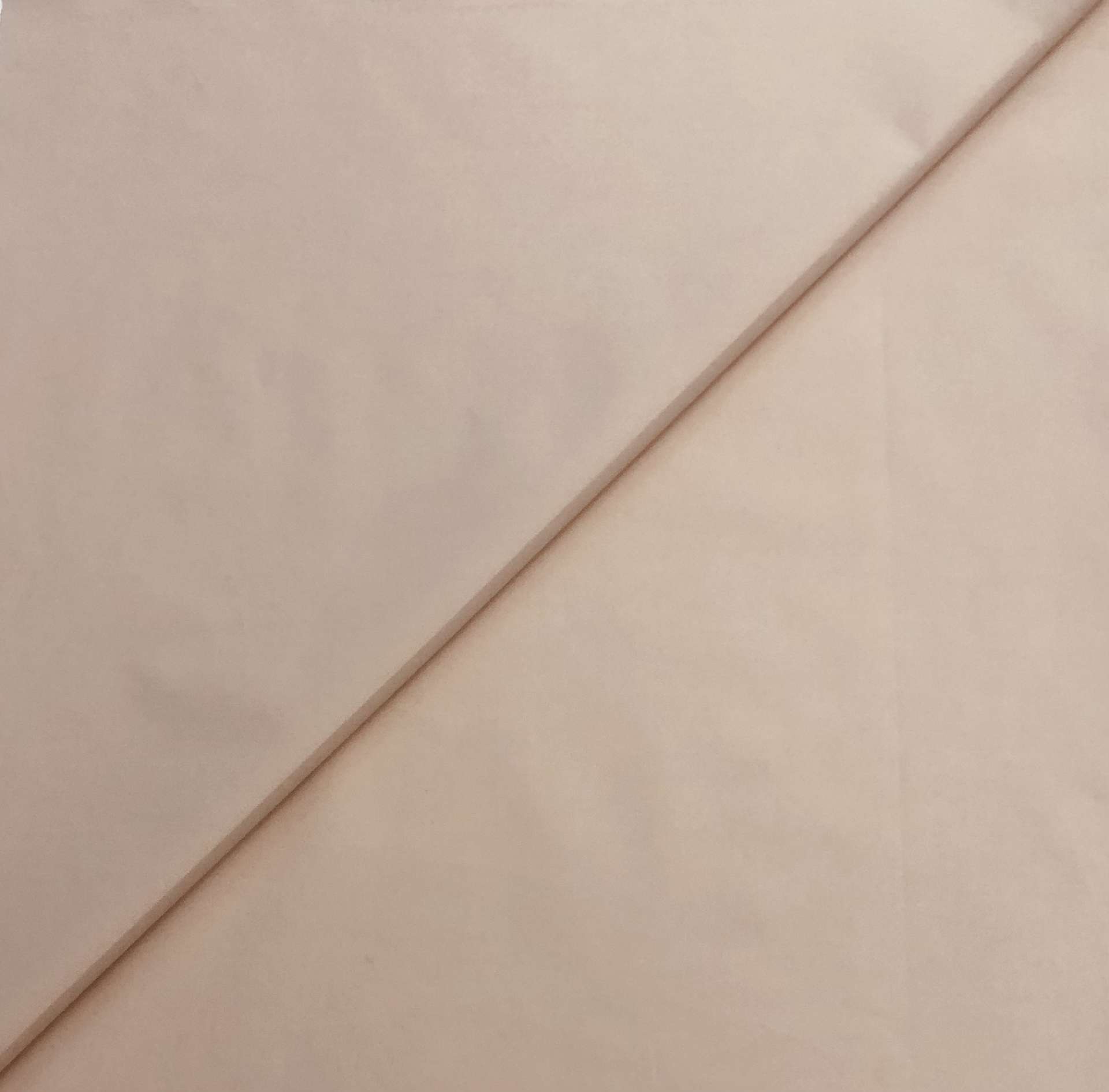 Japanese Cotton Broadcloth in Eggshell